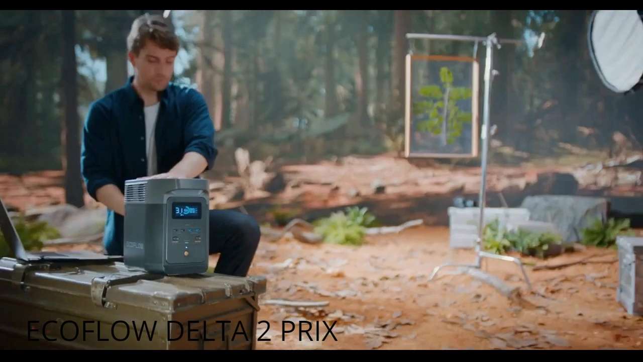 Il Y A Quoi Dans Ecoflow Delta 2?